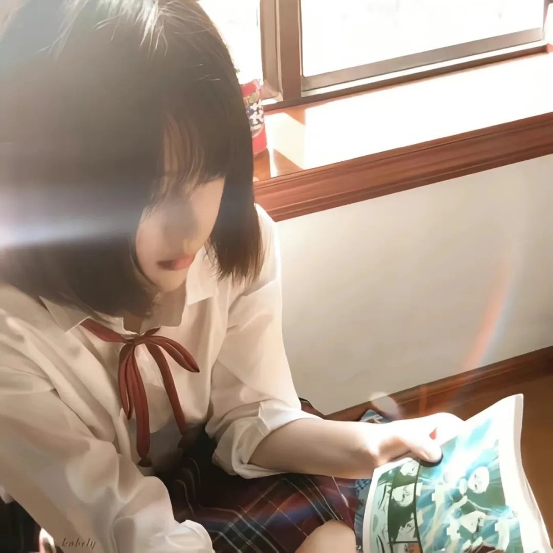 盗贼生涯