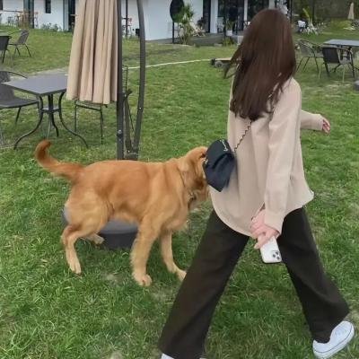 农场我的家